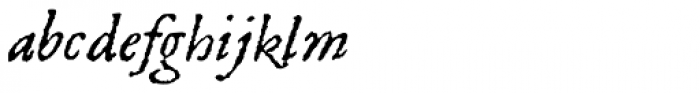 1589 Humane Bordeaux Italic Font LOWERCASE