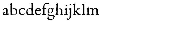 1669 Elzevir Normal Font LOWERCASE