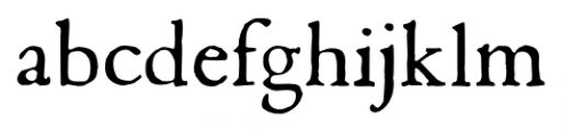 1669 Elzevir Regular Font LOWERCASE