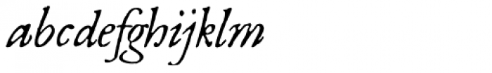 1669 Elzevir Italic Font LOWERCASE