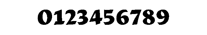 29LTAdaSharp SharpBlack Instance Font OTHER CHARS