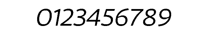 29LTAzer LightSlanted Font OTHER CHARS