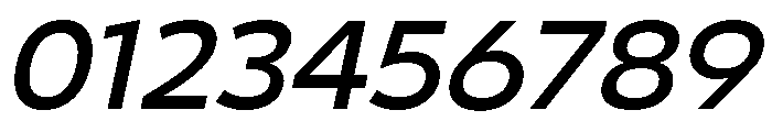 29LTBukra MediumSlanted Font OTHER CHARS