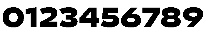 29LTBukra SemiWideBlack Instance 99b2aa0e Font OTHER CHARS