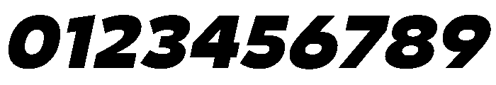 29LTBukraSlanted Black Instance Font OTHER CHARS