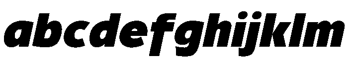 29LTBukraSlanted Black Instance FONT