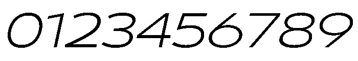 29LTBukraWide LightSlanted Font OTHER CHARS