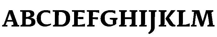 29LTIdrisFlat Bold Font UPPERCASE