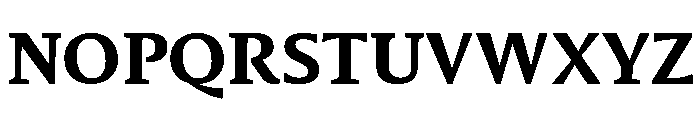 29LTIdrisFlat Bold Font UPPERCASE