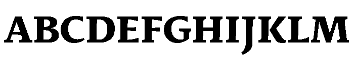 29LTIdrisFlat ExtraBold Font UPPERCASE