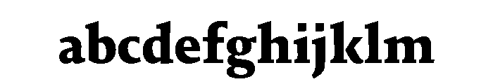 29LTIdrisFlat ExtraBold FONT