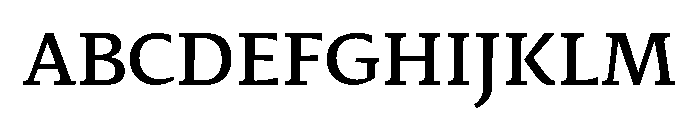 29LTIdrisFlat Medium Font UPPERCASE