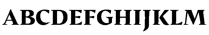 29LTIdrisSharp ExtraBold Font UPPERCASE