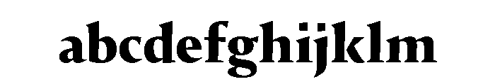 29LTIdrisSharp ExtraBold FONT
