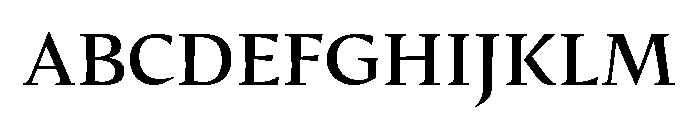 29LTIdrisSharp Medium Font UPPERCASE