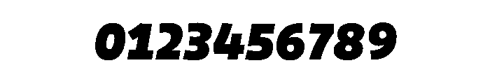 29LTOkasoSlanted BlackSlanted Instance Font OTHER CHARS