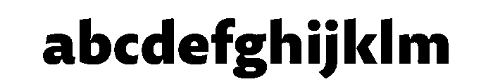 29LTZaridSansAL Black Instance FONT