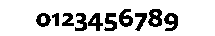 29LTZaridSansAL Bold Instance Font OTHER CHARS