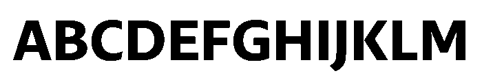 29LTZaridSansAL Bold Instance Font UPPERCASE