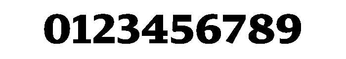 29LTZaridSerif Black Instance Font OTHER CHARS