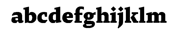 29LTZaridSerif Black Instance FONT