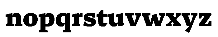 29LTZaridSerif Black Instance Font LOWERCASE