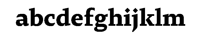 29LTZaridSerif Bold Instance FONT