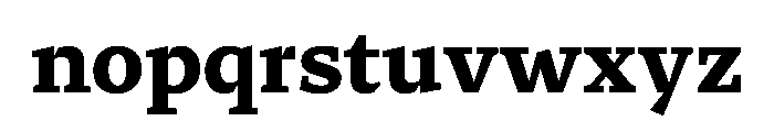 29LTZaridSerif Bold Instance Font LOWERCASE