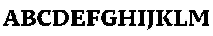 29LTZaridText Bold Instance Font UPPERCASE