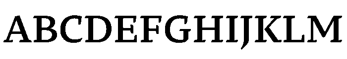 29LTZaridText Medium Instance Font UPPERCASE