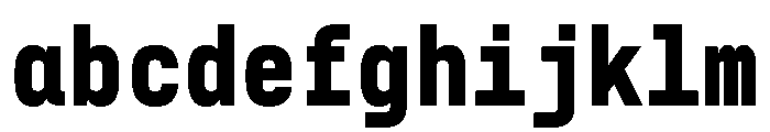 29LTZawi Black Instance FONT