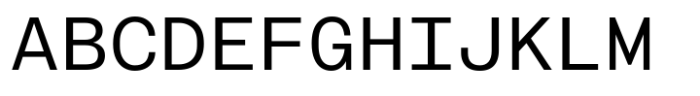 403 Mono Regular Font UPPERCASE