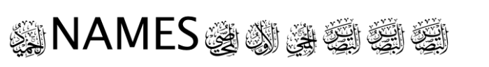 fontPreview