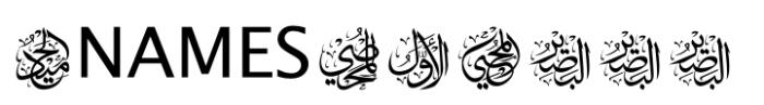 fontPreview