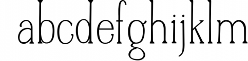 A Font Duo - LINEN - Thick Script paired with a serif Font LOWERCASE