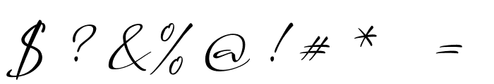 a Auto Signature Font OTHER CHARS