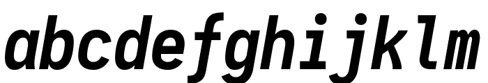 Aardvark Fixed Bold Italic Font LOWERCASE