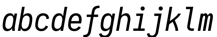 Aardvark Fixed Italic Font LOWERCASE