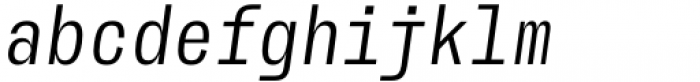 AA Actual Mono Regular Italic Font LOWERCASE