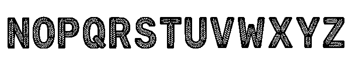Abeer Regular Font UPPERCASE