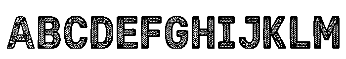 Abeer Regular FONT