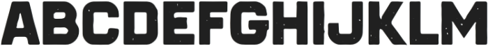 AB Charter Rough Sans otf (400) Font UPPERCASE