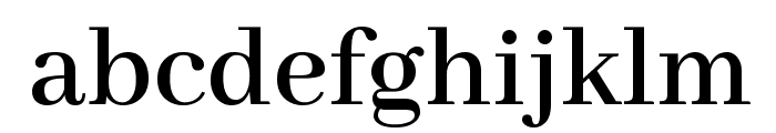 Abhaya Libre SemiBold Font LOWERCASE