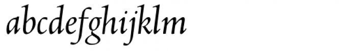 Abrams Venetian Italic OsF Font LOWERCASE