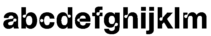 ABCCamera Bold FONT