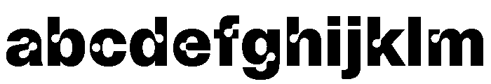 ABCCamera Heavy FONT