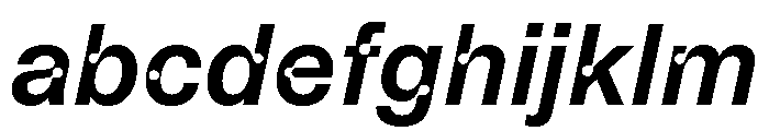 ABCCamera MediumItalic FONT
