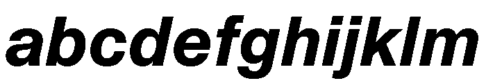 ABCCameraPlain BoldItalic FONT