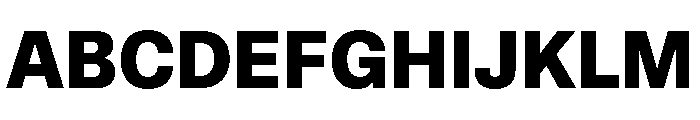 ABCCameraPlain Heavy Font UPPERCASE