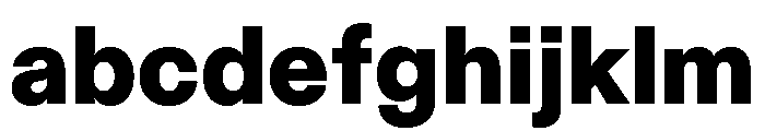 ABCDiatype Black FONT